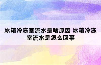 冰箱冷冻室流水是啥原因 冰箱冷冻室流水是怎么回事